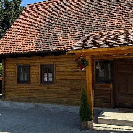Casuta Cu Tihna Villa Porumbacu de Sus Exterior photo